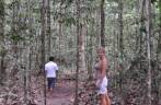 Caminhando na mata na reserva de Iwokrama, na Guiana